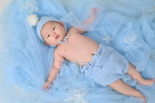 金坛宝宝树怎么样 金坛宝宝树怎么样